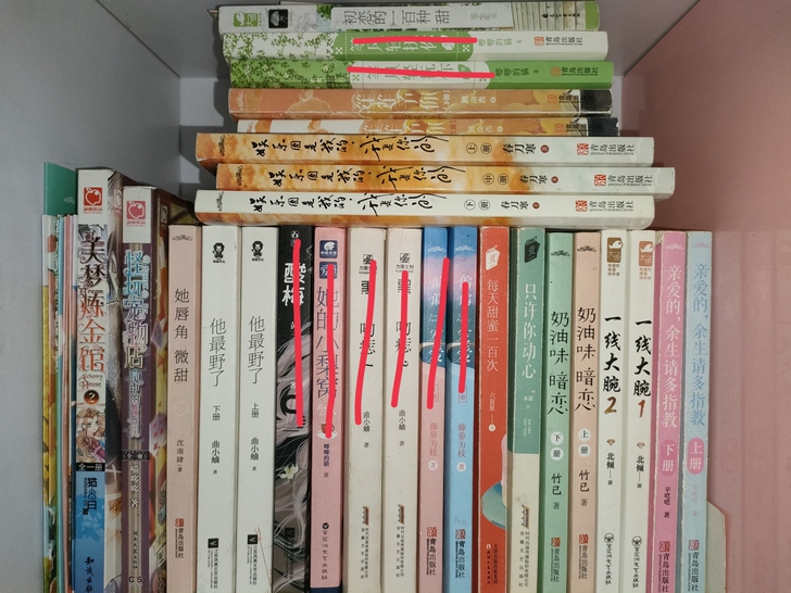 言情小说 校园 霸总 娱乐圈