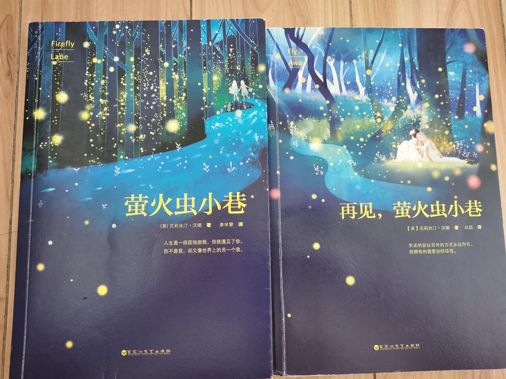 外国文学/小说   萤火虫小巷+再见萤火虫...