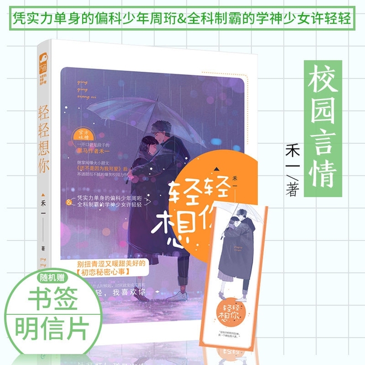 言情小说《轻轻想你》