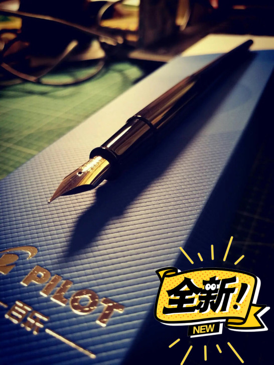 PILOT百乐 DPP-70长笔杆墨水笔钢...