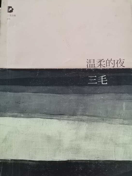 致：永远的三毛  文艺类书籍 温柔的夜  ...