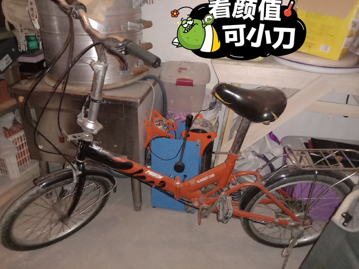 飞鸽女士折叠车,媳妇没骑过多久,带变速,