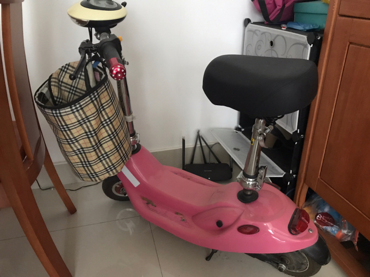 小海豚女士迷你电动车