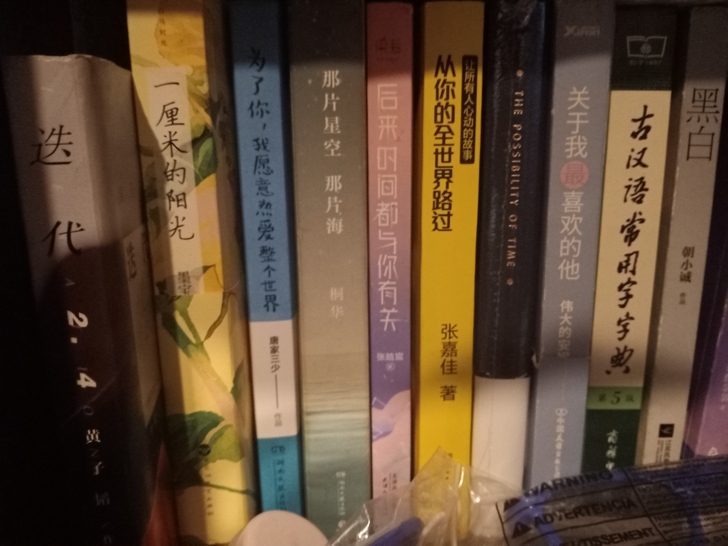 言情小说 散文 童话