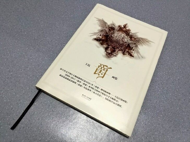 郭敬明临界爵迹正品 王浣爵画集