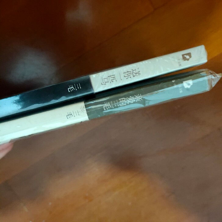 三毛全集 北京十月文艺出版社