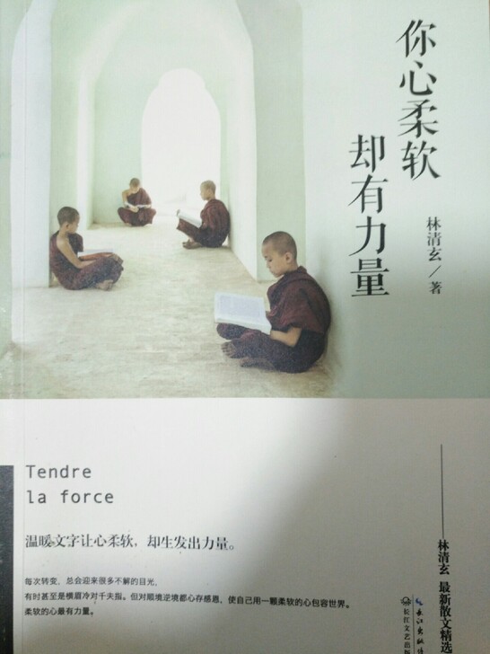 《你心柔软 却有力量》林清玄著