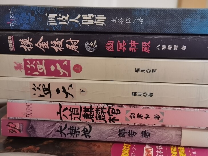 6本盗墓类书记，几乎全新，没怎么翻看过，喜...