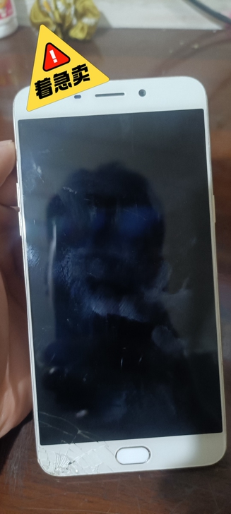 出一台oppo R9sPlus，4+64G...