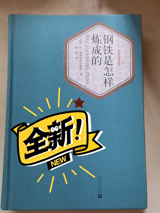 《钢铁是怎样炼成的》人民文学出版社正版原装...