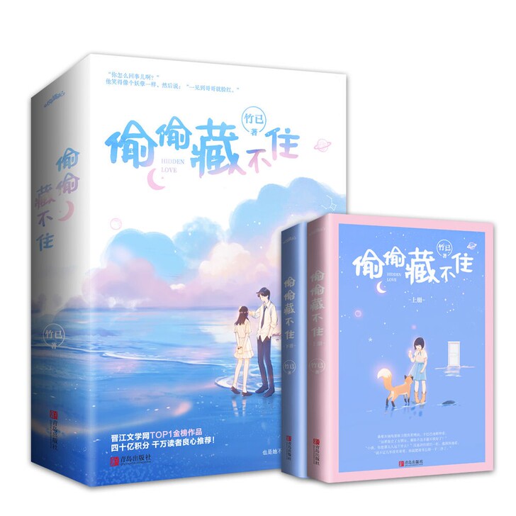 【偷偷藏不住】新书套装2册。竹已著 青春文...