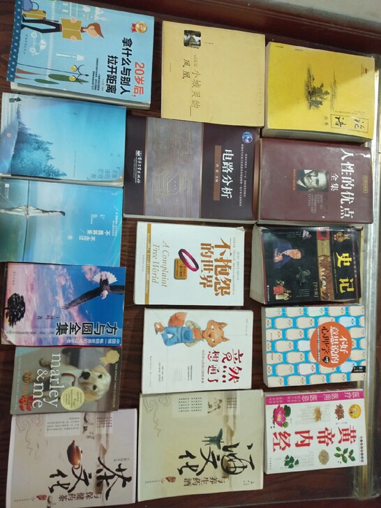 闲置小说，杂书，搬家清仓，有心里学说，励志...