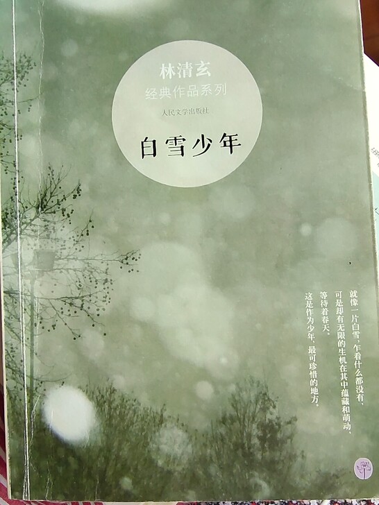 白雪少年。林清玄。看过两遍。只有表面有一道...