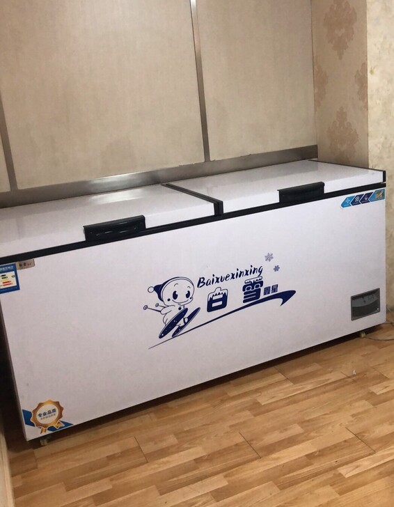 冰柜商用大容量冷藏全冷冻单温双温小型铜管速...