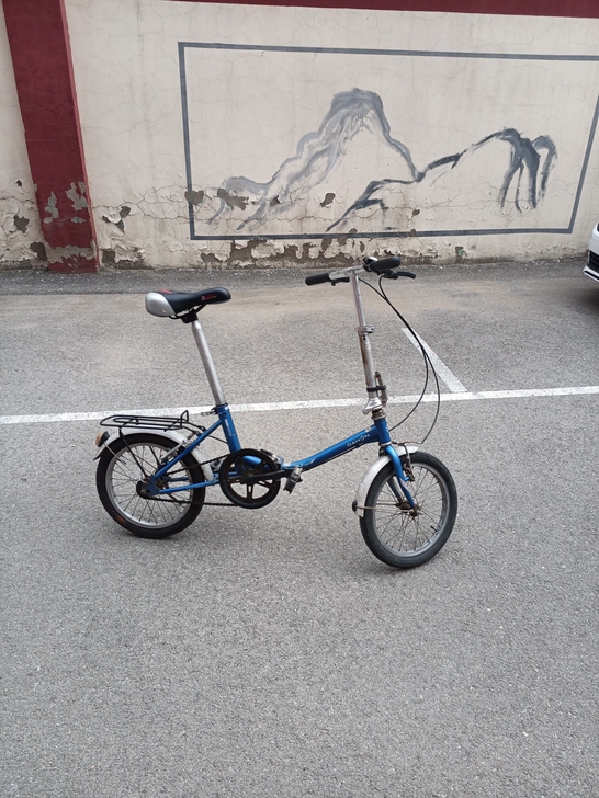 自用大行折叠车，骑着非常轻便，自己换的车座...