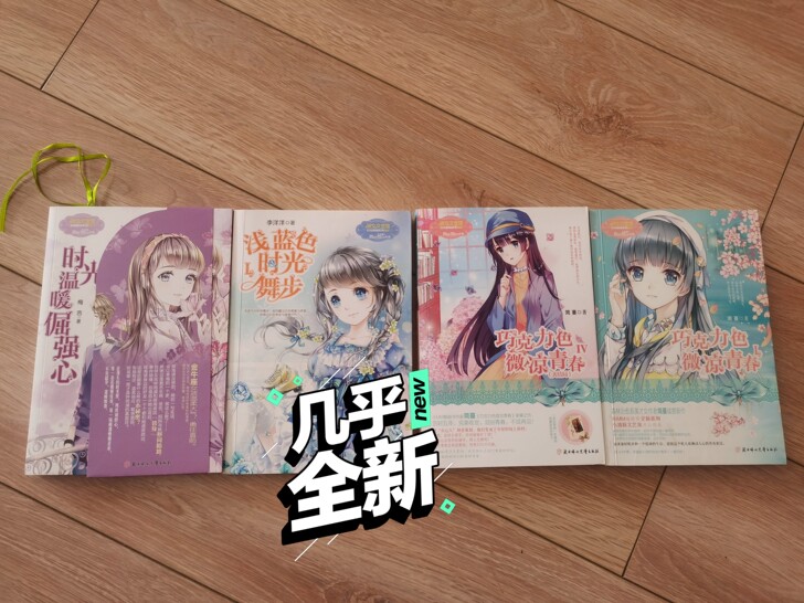 青春文学系列小说 九成新