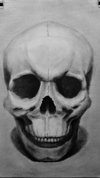 素描作品