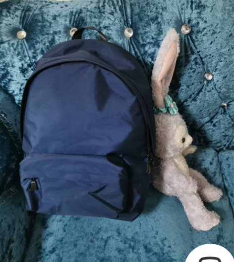 网易严选极简轻质双肩包 全新带吊牌，别人送...