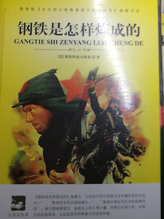 卖书《钢铁是怎样炼成的》
