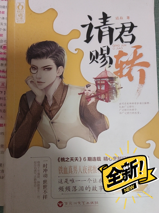 言情小说《请君赐轿》