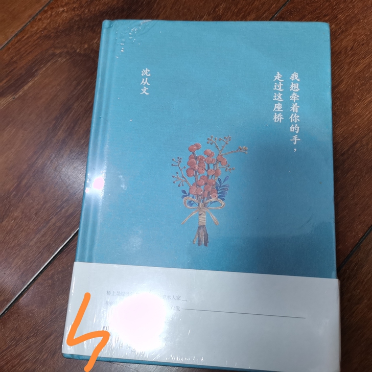 《我想牵着你的手，走过这座桥》沈从文