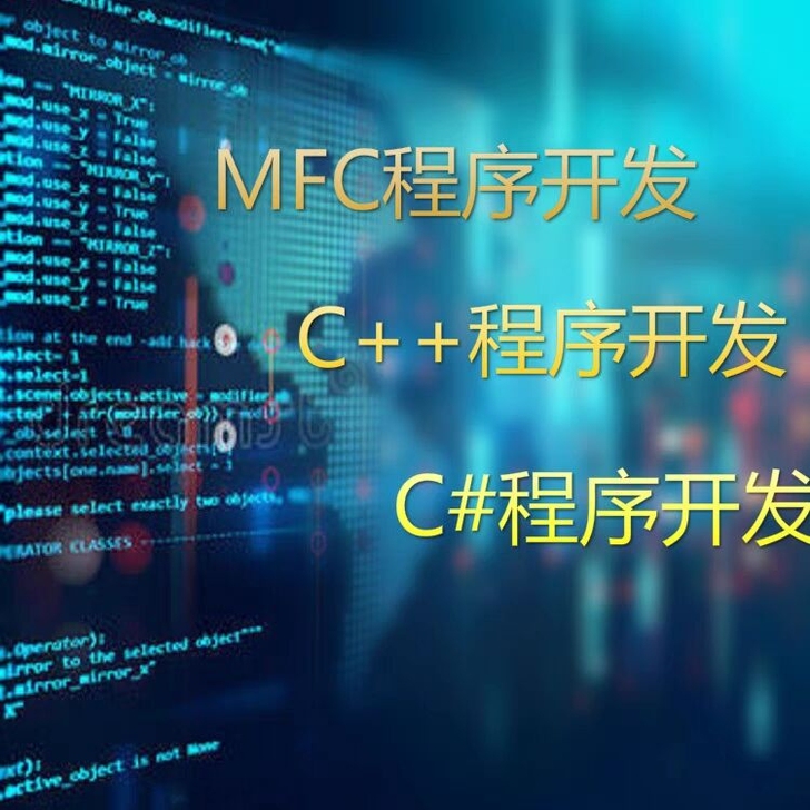 程序代做