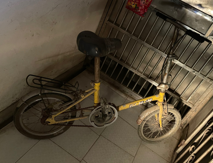 美国大行DAHON折叠自行车 全好