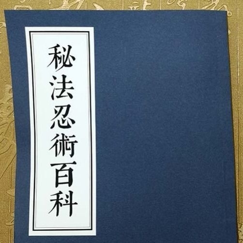 秘法忍术百科 道教忍术文化书籍 共194页