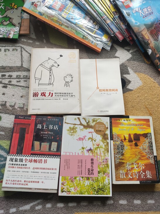 岛上书店 游戏力 泰戈尔 如何高效读书等 ...