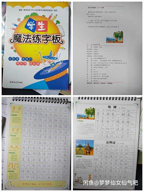 全新小学生硬笔书法.魔法练字板学生常备字帖...