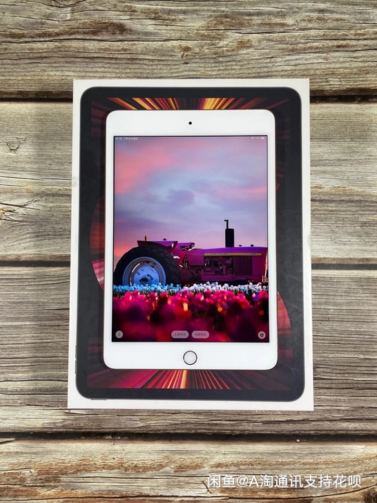 充新iPad mini5 插卡版 64G ...
