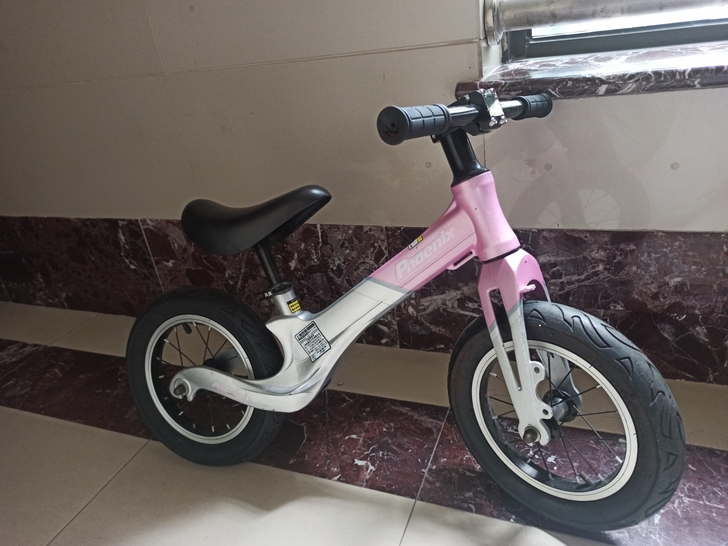 凤凰牌平衡车，8成新，原价300多现100...