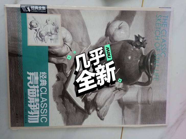 经典全景素描静物