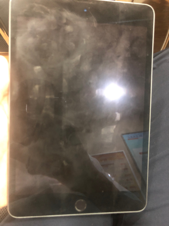 ipad mini5 256g蜂窝版，购入...