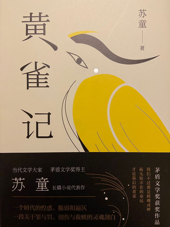 苏童的小说，虽然不再是香椿街宇宙，也依旧充...