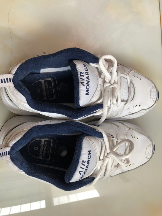 nike air monarch