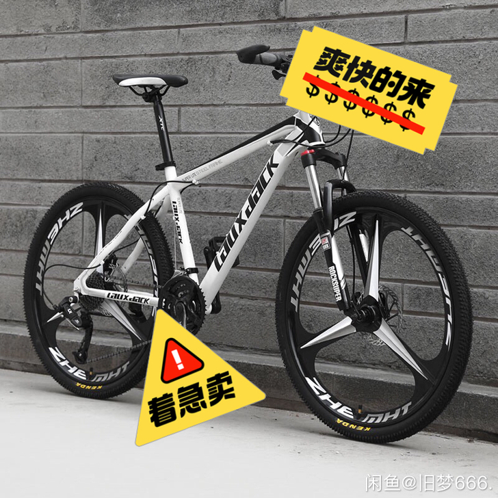 闲置自行车，越野山地自行车轻便跑车青少年公...