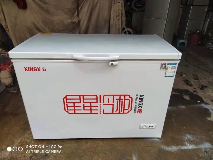 包送 星星冰柜305升冷冻柜/冷藏柜/保鲜柜
