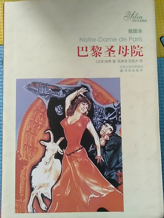 巴黎圣母院书