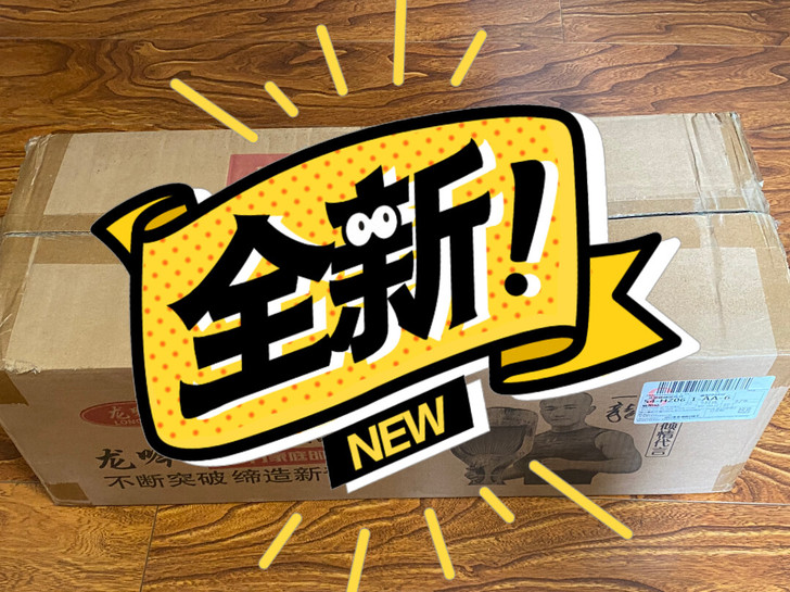 龙吟智能平衡车全新 /转让