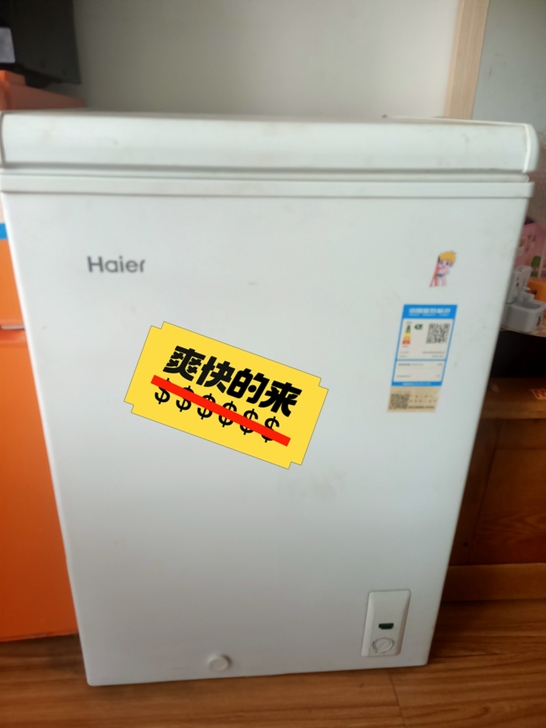 海尔冰柜，现在想搬家，不想带走
