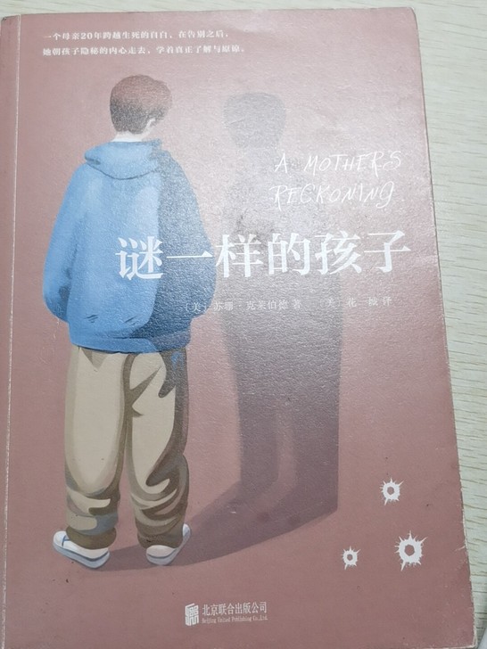 谜一样的孩子     纪实文学