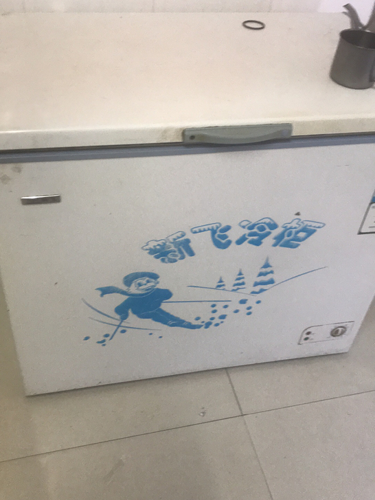 新飞冷冻柜，功能正常，197升，仅限石狮本...
