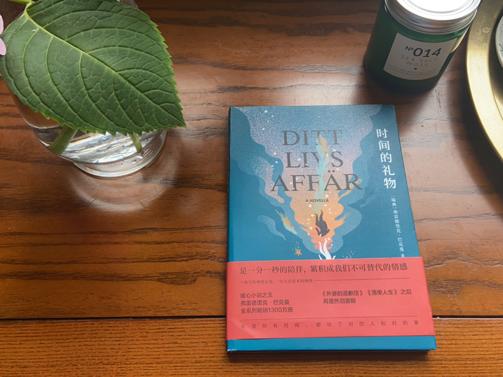 闲置书籍，几乎全新。