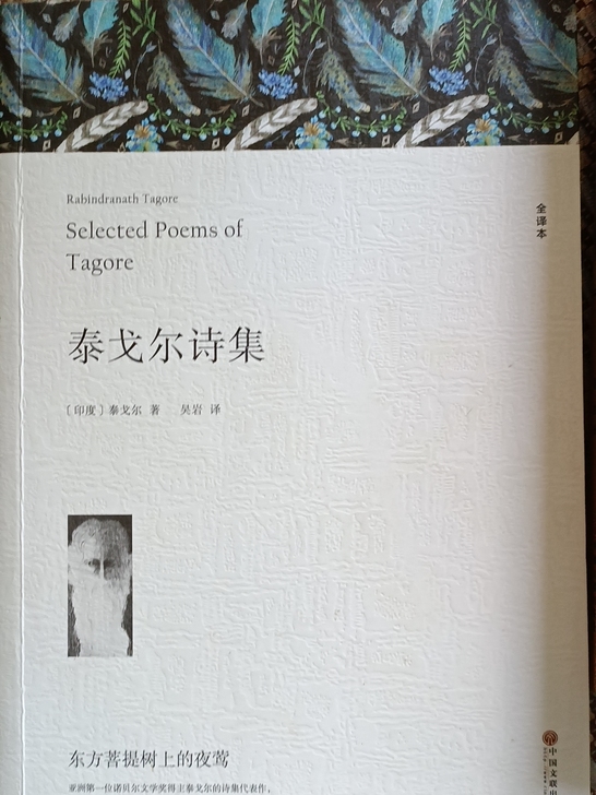 泰戈尔诗集九九新  快速发出 书上无名字 ...