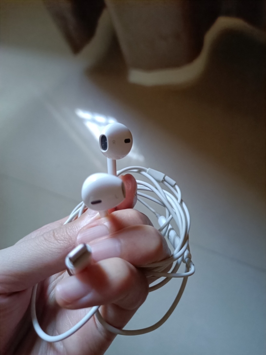 二手苹果耳机用过几次，包邮。不讲价。