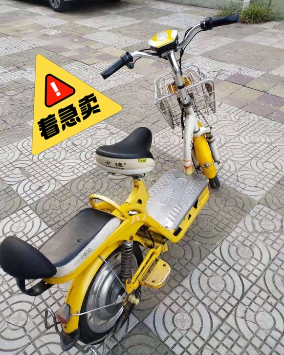 【八成新出售】新日电动车成人电动自行车48...