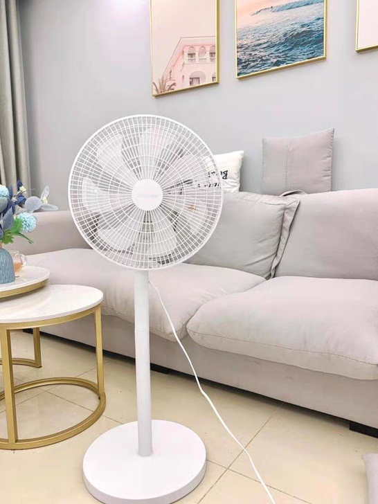 亏本电风扇落地扇家用大风力电扇