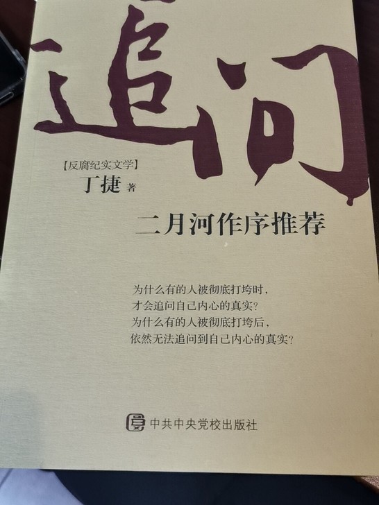 反腐纪实文学《追问》丁捷  著