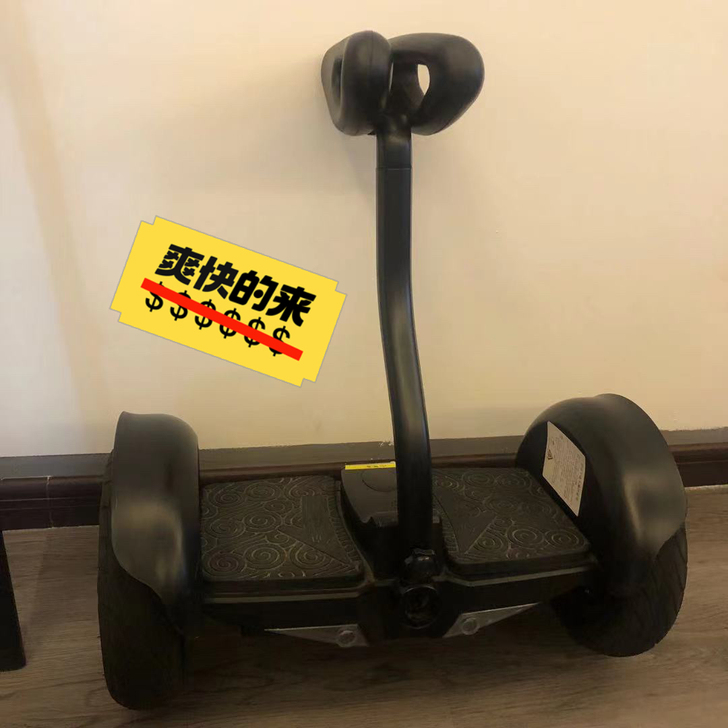 领奥电动平衡车 54v 10寸 稳定性强 ...
